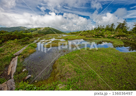 夏の会津駒ヶ岳稜線・中門岳付近の湿原 夏の会津駒ヶ岳稜線・中門岳付近の湿原 136036497