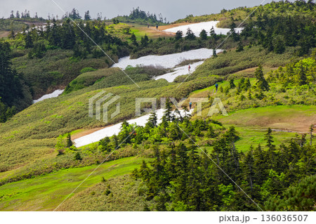 中門岳付近から見る残雪の会津駒ヶ岳稜線 136036507