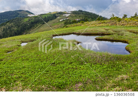 夏の会津駒ヶ岳稜線・中門岳付近の湿原 136036508