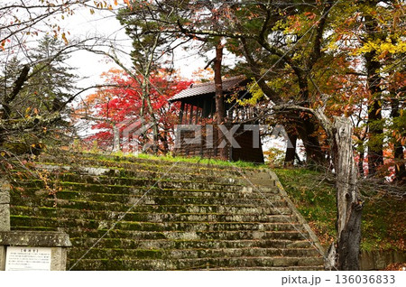 会津若松市 鶴ヶ城址公園 136036833