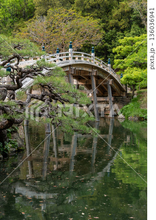 庭園の木橋と池 庭園の木橋と池 136036941