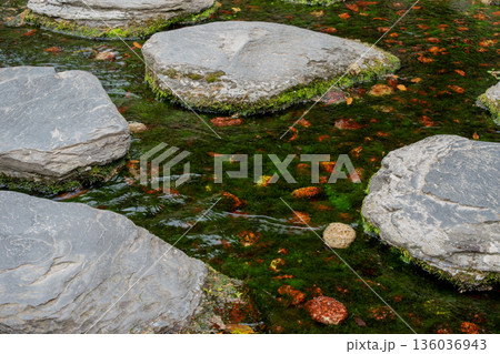 苔と石の渓流風景 苔と石の渓流風景 136036943