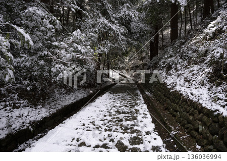 観心寺の雪景色　石段に積もる雪 136036994