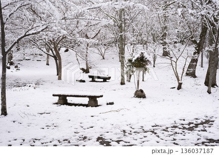 観心寺の雪景色 136037187