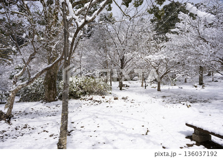 観心寺の雪景色 観心寺の雪景色 136037192