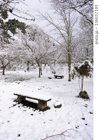 観心寺の雪景色 観心寺の雪景色 136037193