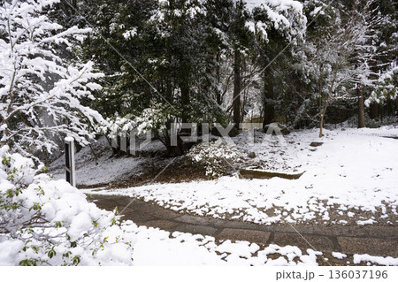 観心寺の雪景色 観心寺の雪景色 136037196