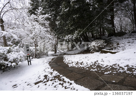 観心寺の雪景色 観心寺の雪景色 136037197