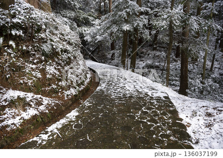 観心寺の雪景色 136037199