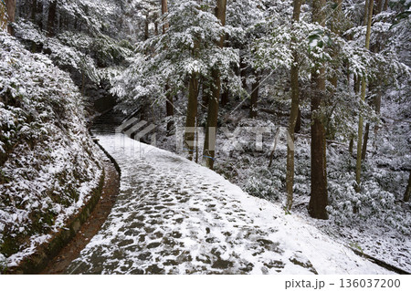 観心寺の雪景色 観心寺の雪景色 136037200