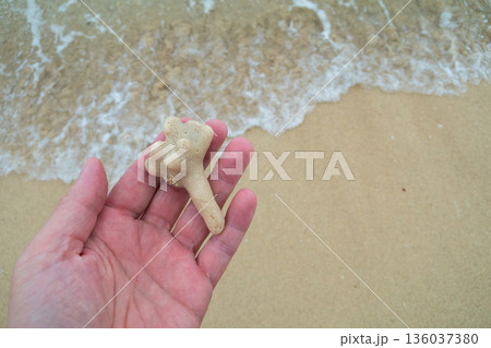 various various 136037380