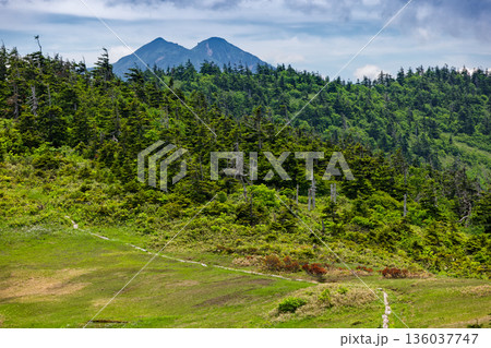 会津駒ヶ岳・大津岐峠間の登山道と燧ヶ岳 136037747