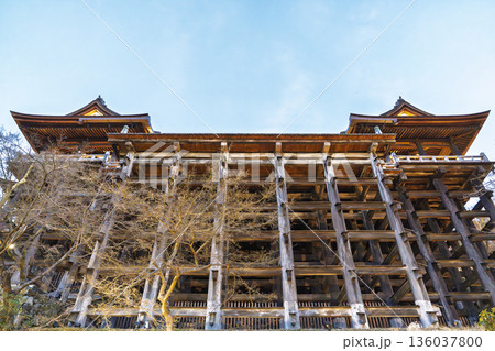 冬の音羽山 清水寺 清水の舞台 京都府京都市 冬の音羽山 清水寺 清水の舞台 京都府京都市 136037800