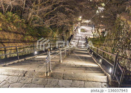 冬の音羽山　清水寺　本堂から音羽の滝に続く階段　京都府京都市 136037943