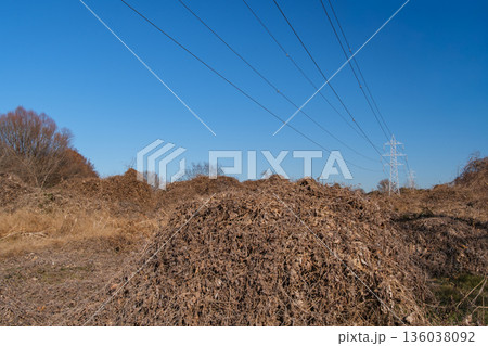 鉄塔と冬枯れ 136038092