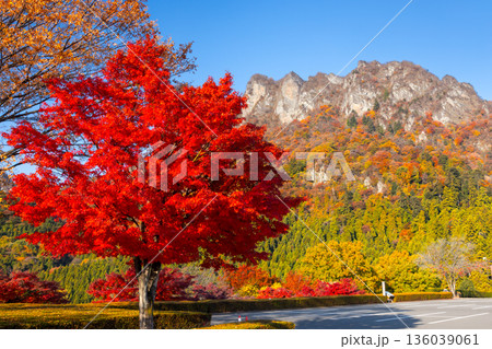 群馬県富岡市妙義町岳　妙義山パノラマパークの一本モミジと紅葉した日本三大奇勝の妙義山 136039061
