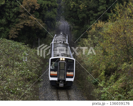 山間を走る只見線 136039176