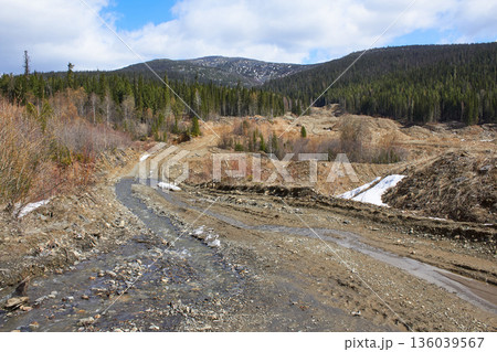Muddy dirt road with a stream flowing through it, flanked by hills with logging clearcuts and a green coniferous forest 136039567