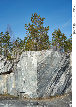 Pine trees on a marble quarry cliff at Ruskeala Mountain Park. Nature landscape with natural stone texture for travel and historical concept. Pine trees on a marble quarry cliff at Ruskeala Mountain Park. Nature landscape with natural stone texture for travel and historical concept. 136039572