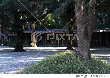 日本の神社：神聖な森林と建築物と参道（神宮・鳥居） 136039672
