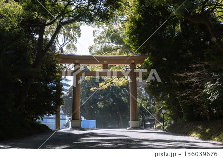 日本の神社:神聖な森林と建築物と参道(神宮・鳥居) 日本の神社:神聖な森林と建築物と参道(神宮・鳥居) 136039676