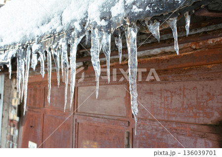 Icicles on the roof closeup. Winter weather in details. Frost and ice background. Melting icicles. Long sharp icicles. Frozen water. Cold weather concept. Dangerous cold temperature. Icicles on the roof closeup. Winter weather in details. Frost and ice background. Melting icicles. Long sharp icicles. Frozen water. Cold weather concept. Dangerous cold temperature. 136039701