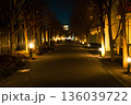 綺麗なライトアップが続く夜道 136039722