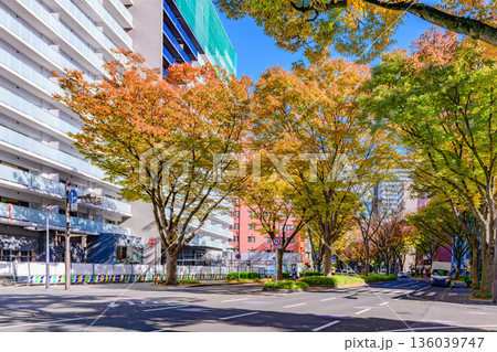 仙台 青葉通 秋 仙台 青葉通 秋 136039747