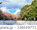 日本日本の神社：神聖な森林と建築物と参道（神宮・鳥居）の神社：神聖な森林と建築物と参道（神宮・鳥居） 136039771