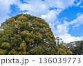 日本日本の神社：神聖な森林と建築物と参道（神宮・鳥居）の神社：神聖な森林と建築物と参道（神宮・鳥居） 136039773