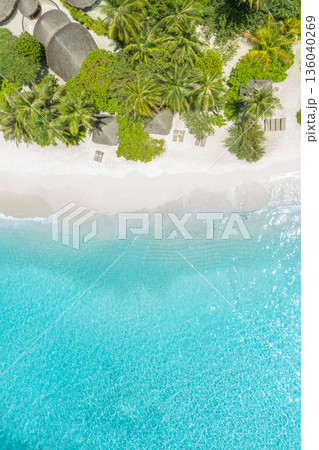 Top aerial tropical resort beach. Tranquil ocean view palm trees and white sand summer background 136040269