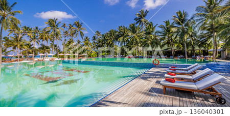 Panoramic luxury beach resort pool with relaxing sun beds chairs palm trees tropical summer paradise vacation background Panoramic luxury beach resort pool with relaxing sun beds chairs palm trees tropical summer paradise vacation background 136040301