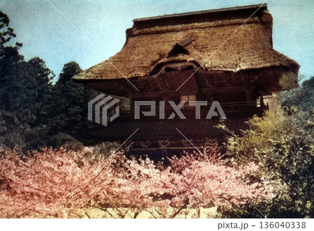 古写真　1953-1954年　鎌倉　建長寺の三門（屋根が茅葺きだった頃） 136040338