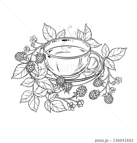 Cup of Blackberry Tea Outline Illustration. Cup of Blackberry Tea Outline Illustration. 136041602