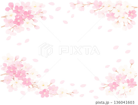 満開の春の桜の花のフレーム　ベクターイラスト素材 136041603