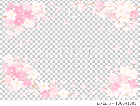満開の春の桜の花のフレーム　ベクターイラスト素材 136041603