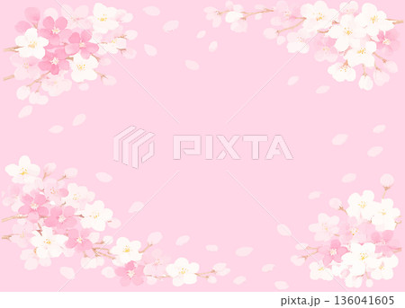 水彩で描いた春の桜のフレーム　ひな祭り 136041605