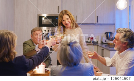 Senior people celebrating a toast with white wine Senior people celebrating a toast with white wine 136041607