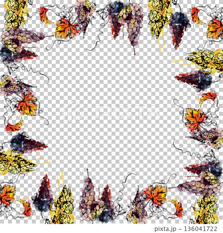 Square frame from watercolor grape bunches, leaves and tendrils hanging off the border edge. Beverage menus, winemaking posters, wine packaging, invitations, recipe layouts and lifestyle publishing. Square frame from watercolor grape bunches, leaves and tendrils hanging off the border edge. Beverage menus, winemaking posters, wine packaging, invitations, recipe layouts and lifestyle publishing. 136041722
