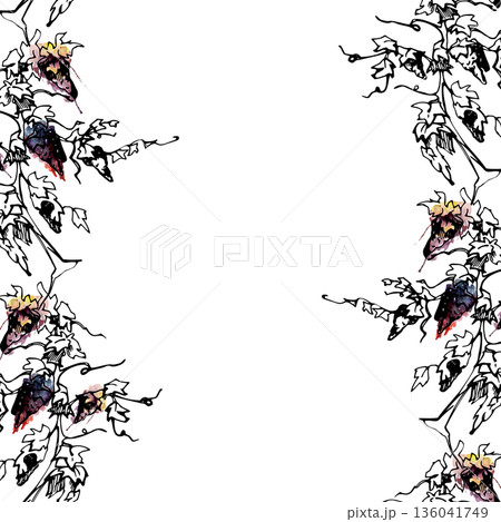 Vineyard seamless banner with fruiting red grapevine, ripe grape clusters on twisted trunks. Isolated illustration hand drawn in watercolor and ink for menus, winery tour promotion, catalog work. Vineyard seamless banner with fruiting red grapevine, ripe grape clusters on twisted trunks. Isolated illustration hand drawn in watercolor and ink for menus, winery tour promotion, catalog work. 136041749