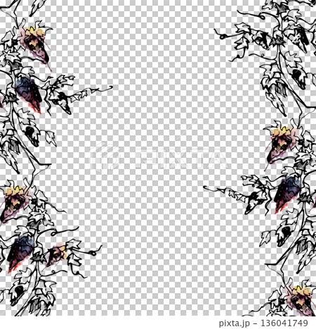 Vineyard seamless banner with fruiting red grapevine, ripe grape clusters on twisted trunks. Isolated illustration hand drawn in watercolor and ink for menus, winery tour promotion, catalog work. Vineyard seamless banner with fruiting red grapevine, ripe grape clusters on twisted trunks. Isolated illustration hand drawn in watercolor and ink for menus, winery tour promotion, catalog work. 136041749