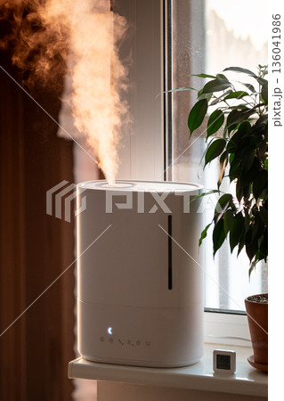 Humidifier on windowsill among potted houseplant spraying water vapor steam 136041986