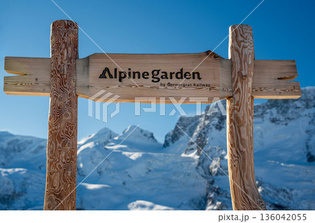 アルパインガーデンの木製看板と雪山背景 ツェルマット ヴァレー州 スイス アルパインガーデンの木製看板と雪山背景 ツェルマット ヴァレー州 スイス 136042055
