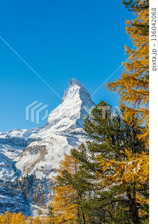 マッターホルンと黄金色のカラマツ林の風景 ツェルマット ヴァレー州 スイス 136042068