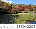 霞ヶ城の紅葉 136042205