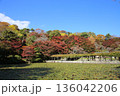 霞ヶ城の紅葉 136042206
