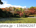 霞ヶ城の紅葉 136042207