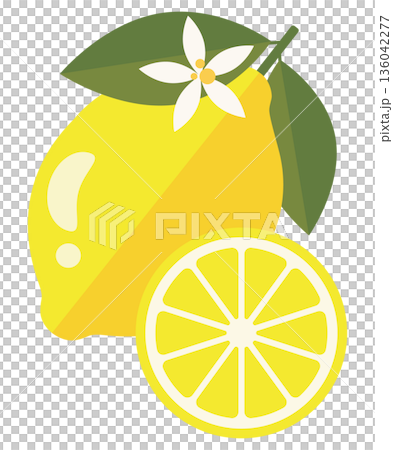 Vector illustration of lemon fruit with leaves, flower and slice Vector illustration of lemon fruit with leaves, flower and slice 136042277