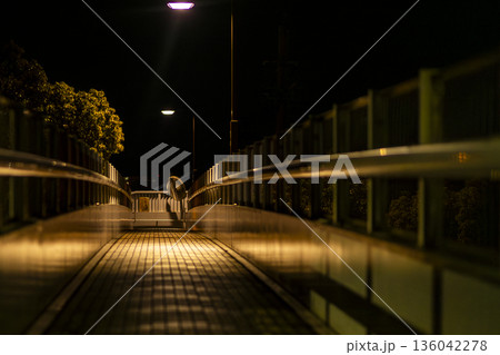 Echoes of the Night Echoes of the Night 136042278