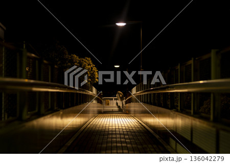 Echoes of the Night 136042279